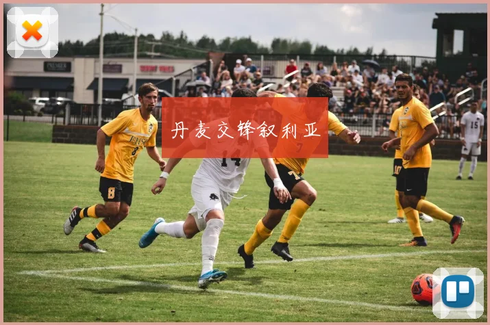 丹麦交锋叙利亚