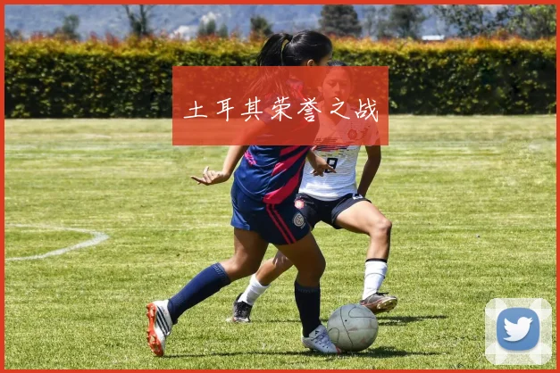 土耳其荣誉之战