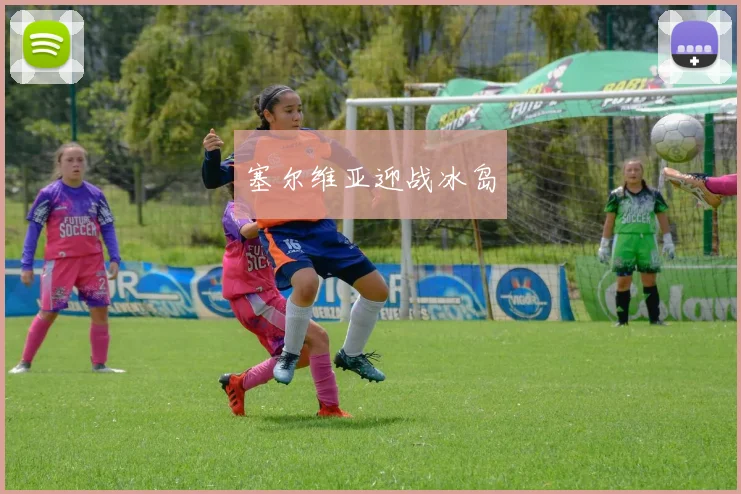 塞尔维亚迎战冰岛